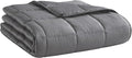 Weighted Blanket 22lbs 60"x80" Cooling Breathable Heavy Blanket Microfiber by LAGRATY
