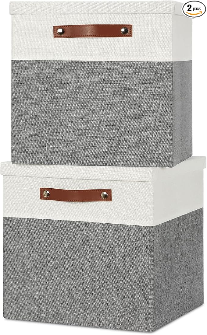 Temary Cube Storage Bins with Lids by TEMARY